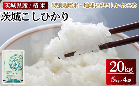 茨城県産特別栽培米　地球にやさしいおこめ 茨城こしひかり 20kg ※離島への配送不可