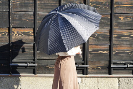 雪華模様のオリジナル傘（サイズ65cm）カラー：ブラック