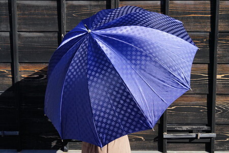 雪華模様のオリジナル傘（サイズ65cm）カラー：ネイビー
