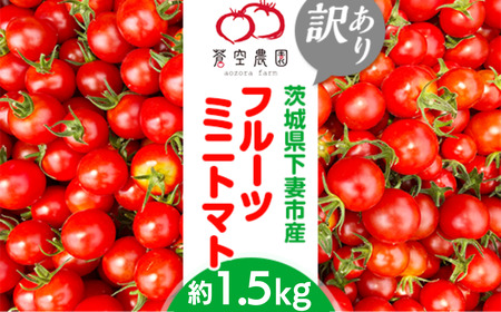 【訳あり】フルーツミニトマト1.5kg【フードロス対策】【トマト フルーツミニトマト 詰め合わせ ミニトマト 甘い 野菜】