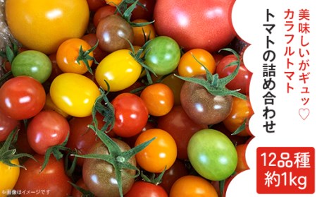 トマトの詰め合わせ（12品種/約1kg）【 野菜トマト 詰合せトマト セットトマト 茨城トマト 人気トマト 】