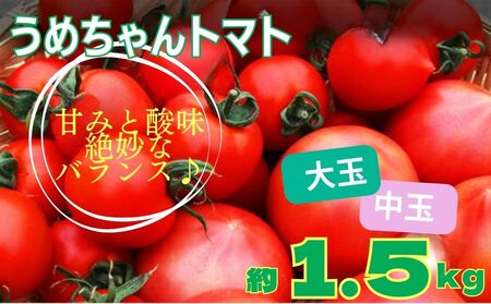 うめちゃんトマト(大玉トマト・中玉トマト約1.5kg) 