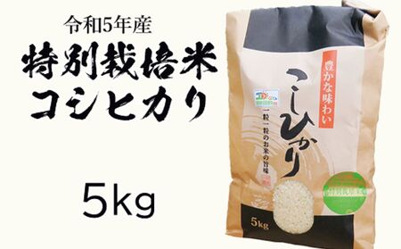 令和五年産特別栽培米 コシヒカリ 5kg お米 コシヒカリ