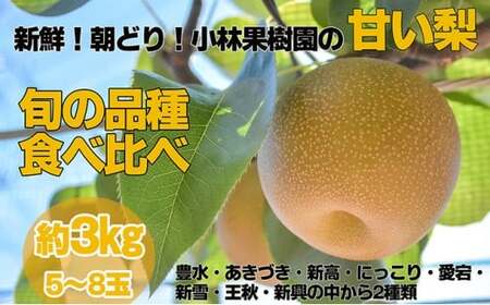 【先行予約・8月下旬以降発送】小林果樹園の甘い梨　食べ比べ5～8玉 