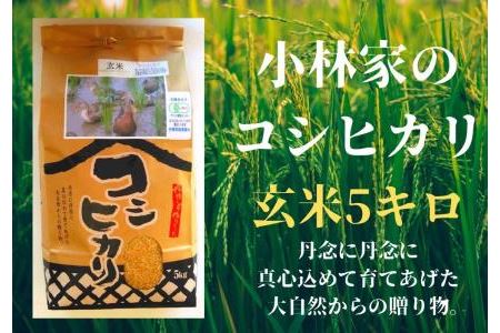【令和5年産】合鴨常陸青龍米　玄米5キロ【米 こめ コメ ミネラル 水 米 安全 安心 美味しい 米 合鴨農法 自然農法】