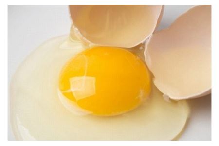 【3ヶ月定期便】田中鶏卵の産みたて卵（60個）