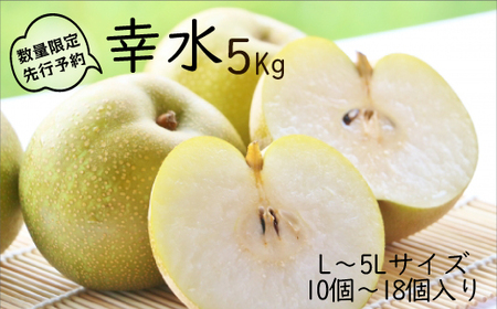 【先行予約】柴沼梨園の梨（幸水）5kg