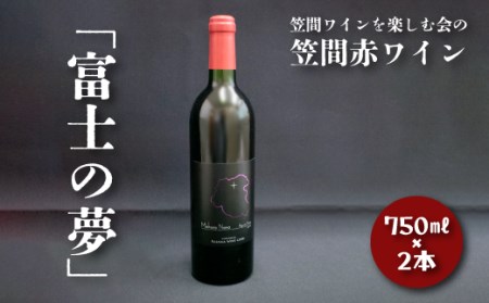 笠間赤ワイン 富士の夢 2本セット