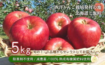【先行予約】北海道七飯町産 りんご 5kg 有機質肥料使用 NAR002
