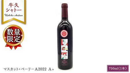 【 数量限定 】 マスカット・ベーリーＡ2022 A+ 750ml ワイン ミディアムボディ お酒 牛久シャトー 酸味 ワイナリー 赤ワイン ぶどう 葡萄 贈り物