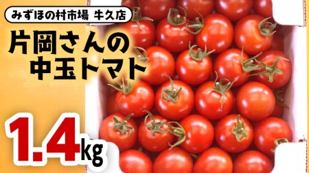 片岡さんの 中玉トマト 1.4kg 新鮮 野菜 トマト とまと