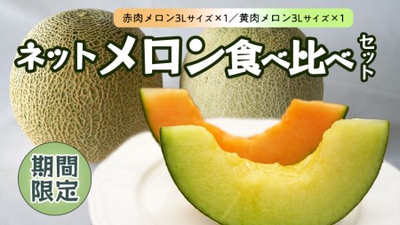 茨城県産 ネット メロン 食べくらべ 食べ比べ 2種 果物 フルーツ 赤肉 黄肉 青肉 めろん 3L 2玉 期間限定 旬