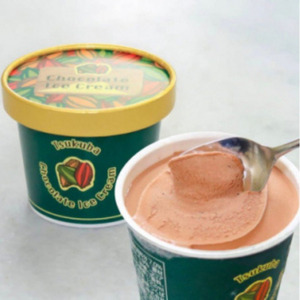 チョコレートアイスクリーム(122ml×12個)＜離島・沖縄配送不可＞【1307887】