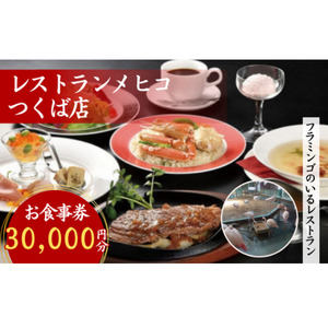レストランメヒコつくば店お食事券30,000円分【1378638】