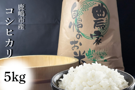 【令和5年産】安心安全のお米！特別栽培米コシヒカリ（5kg） （KAV-1）