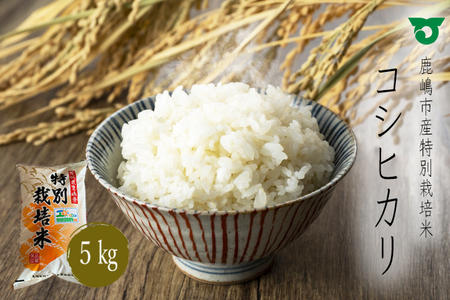 鹿嶋市の子どもたちが食べている特別栽培米コシヒカリ（5kg×1袋）(KBS-1) 