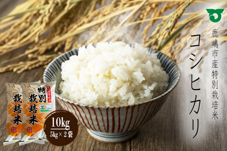 鹿嶋市の子どもたちが食べている特別栽培米コシヒカリ（5kg×2袋 計10kg）(KBS-2) 