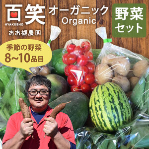 KAG-29　【12ヶ月定期便】百笑オーガニック野菜セット（8～10品目）