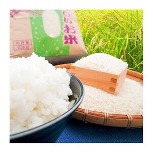【令和5年度産】特別栽培米 コシヒカリ 精米 10kg【1445982】