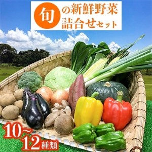 旬の新鮮野菜詰合せセット【配送不可地域：離島】【1239636】