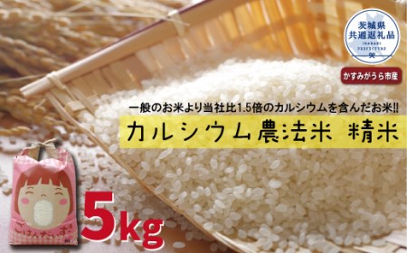 カルシウム農法米　精米5kg（茨城県共通返礼品・かすみがうら市産）