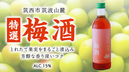 【 特選 】 梅酒 アルコール 15％（ 500ml × 1本 ） 果実酒 お酒 酒 梅 うめ ウメ [DP002ci]