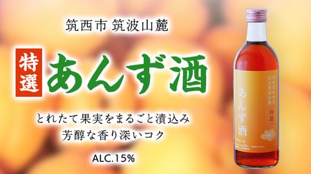 【 特選 】 あんず酒 アルコール 15％ （ 500ml × 1本 ） 果実酒 お酒 酒 あんず [DP004ci]
