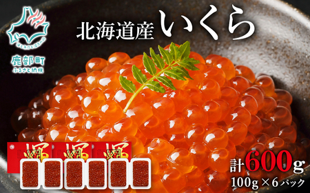 【小分けで便利！】北海道産いくら 600g（100g×6パック）しょうゆ漬け 丸鮮道場水産 小分け 食べきり