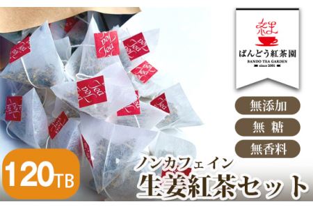 No.118 【120TB】ノンカフェイン生姜紅茶セット  無添加・無糖・無香料