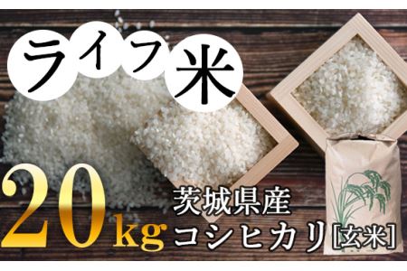 No.123 コシヒカリ・玄米 20kg　令和4年産【ライフ米】