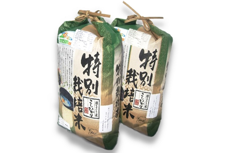 【令和5年産】こめ工房水飼 特別栽培米コシヒカリ 10kg (5kg×2袋) [0924]
