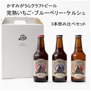 クラフトビール3本セット(ブルーベリー・完熟いちご・ケルシュ)【1301706】