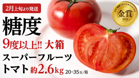 【2024年2月上旬発送開始】スーパーフルーツトマト 大箱 約2.6kg×1箱 （20～35玉） 糖度9度以上 トマト とまと 野菜 [BC001sa]