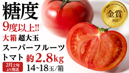 【2024年2月上旬発送開始】【数量限定】 超大玉 スーパーフルーツトマト 大箱 約2.8kg  ×1箱 （14～18玉/1箱） 糖度9度以上 フルーツトマト トマト とまと 野菜 [BC011sa]