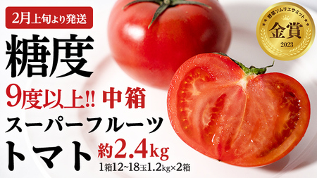 【2024年2月上旬発送開始】 スーパーフルーツトマト 中箱 約1.2kg × 2箱 （12～18玉/1箱） 糖度9度以上 フルーツトマト トマト とまと 野菜 [BC014sa]