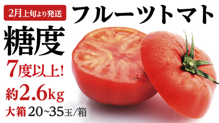 【2024年2月上旬発送開始】 フルーツトマト 大箱 約2.6kg  （20～35玉）×1箱 糖度7度以上 トマト とまと 野菜 [BC018sa]