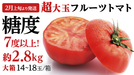 【2024年2月上旬発送開始】 超大玉 フルーツトマト 大箱 約2.8kg（14～18玉） ×1箱  糖度7度以上 トマト とまと 野菜 [BC021sa]