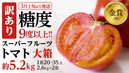 【2024年3月上旬発送開始】《訳あり》 スーパーフルーツトマト 大箱 約2.6kg×2箱  糖度9度以上 トマト とまと 野菜 [BC039sa]