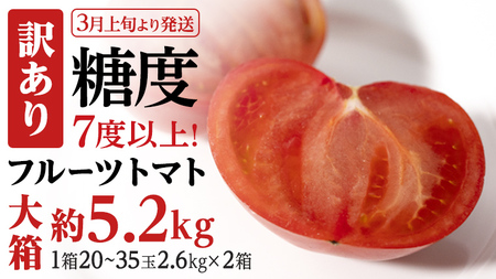 【2024年3月上旬発送開始】訳あり フルーツトマト大箱 約2.6kg×2箱 糖度7度以上[BC041sa]
