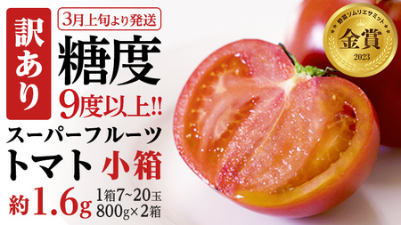 【2024年3月上旬発送開始】《訳あり》 スーパーフルーツトマト 小箱 約800g（7～20玉）×2箱 糖度9度以上 トマト とまと 野菜 [BC043sa]