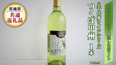 八千代夢ワインシリーズ つくば甲州 ( 白ワイン )１本 ( 茨城県共通返礼品 八千代町)  国産ワイン 白ワイン[BW004sa]