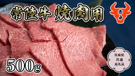  【常陸牛】赤身 焼肉用500g  (茨城県共通返礼品） 国産牛  和牛 お肉 焼肉 焼肉用 バーベキュー BBQ A4ランク A5ランク ブランド牛 [CD006sa]
