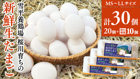 雪平養鶏場 桜川育ちの 新鮮 たまご 合計30個（20個＋10個割れ補償付) 数量限定 卵 [SC032sa]