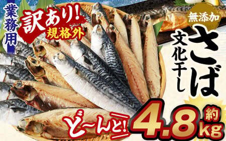 【訳あり規格外】  業務用 無添加 さば文化干し どーんと! 4.8kg 鯖 さば 干物 魚