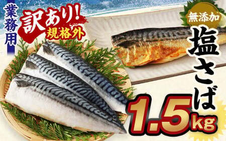【訳あり規格外】 業務用無添加塩さば 1.5kg 鯖 さば 塩サバ 干物 魚