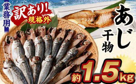 【訳あり規格外】  業務用 あじ 干物 どーんと！ 1.5kg アジ 鯵 魚