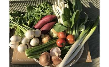 【12ヶ月定期便】自然栽培野菜10～12品目（3・4月は白米5kg）野菜 米 白米 詰合せ