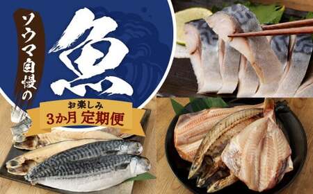 【3ヶ月定期便】ソウマ自慢のお楽しみ定期便 しめさば 干物 鯖 魚