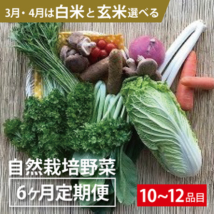 BI-12 6ヵ月定期便「自然栽培野菜」10～12品目（3月4月は白米または玄米5kg）