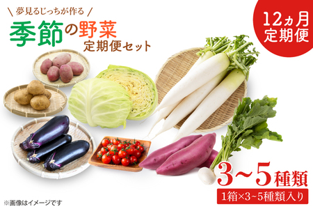 CN-8 【12ヶ月定期便】 夢見るじっちが作る季節の野菜セット 3～5種類入り1箱